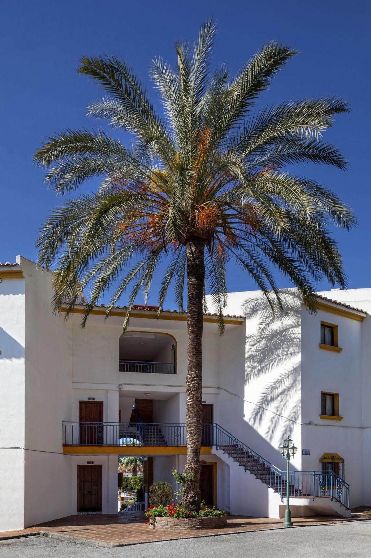 Crown Resorts Club La Riviera La Cala De Mijas Luaran gambar